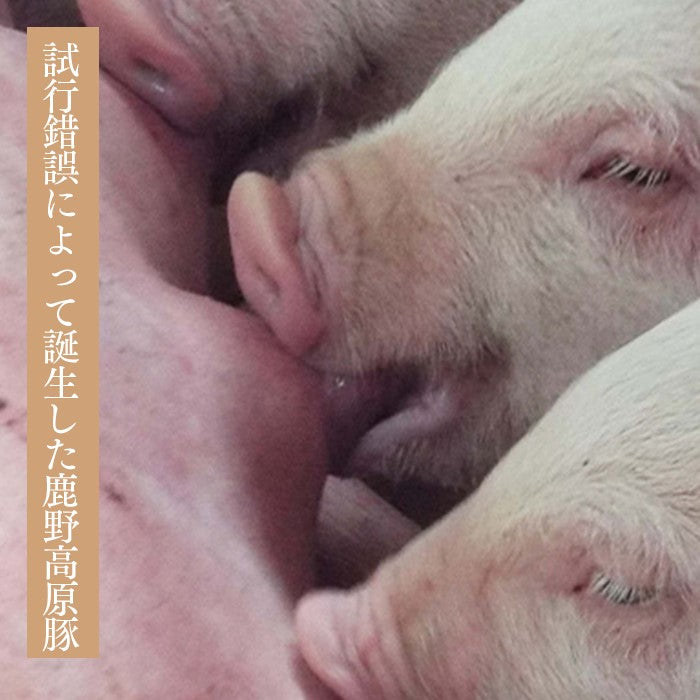 
                  
                    ソフトサラミ【上質国産豚肉のみ使用のセミドライソーセージ】(1本100g)
                  
                