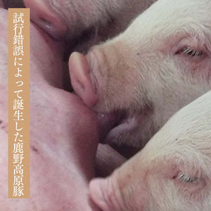 
                  
                    特級プレスハム【上級国産豚肉のみ使用、鹿野ファーム本格プレスハム】(400g)　受注生産品
                  
                