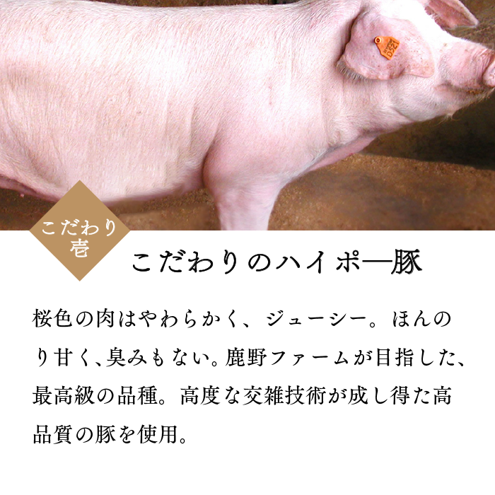 
                  
                    ボロニアソーセージ【上質国産豚肉のみ使用、鹿野ファームの特選ソーセージ】(250g)
                  
                