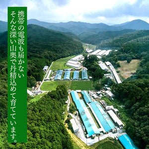
                  
                    特級プレスハム【上級国産豚肉のみ使用、鹿野ファーム本格プレスハム】(400g)　受注生産品
                  
                